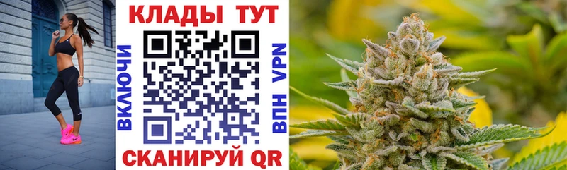 Хочу наркоту Порхов Галлюциногенные грибы APVP ГАШИШ МАРИХУАНА