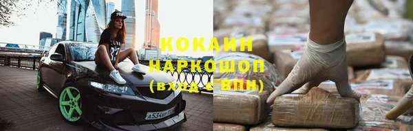 индика Мегион