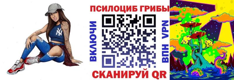Галлюциногенные грибы MAGIC MUSHROOMS  сколько стоит  Порхов 